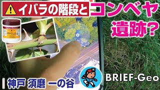 【BRIEF#29】イバラの階段とコンベヤ遺跡？｜神戸 須磨 一の谷