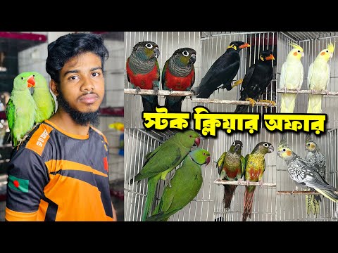 টিয়া, ময়না, চন্দনা, ককাটেল, কনুর ও লাভবার্ড পাখিতে স্টক ক্লিয়ার অফার।  11 March, 2025