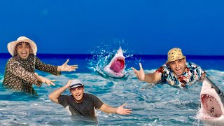 لما ام كشري تروح تصيف و يطلع سمكة 🐟 ‏عملاقة تاكل جوزها 😱 عمر الزير 