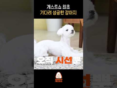 기다려 대회 우승 후보 등장