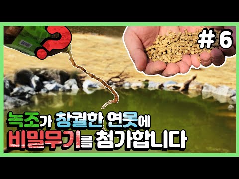 (ENG SUB)초록물로 변한 연못... 줄태식이 넌 다 계획이 있구나 # 6
