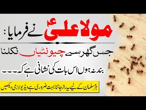 Jis Ghar sy Chuntian Niklna Bnd na Ho to Samjhein | Hazrat Ali Says If Ants Keep Coming Out Of House