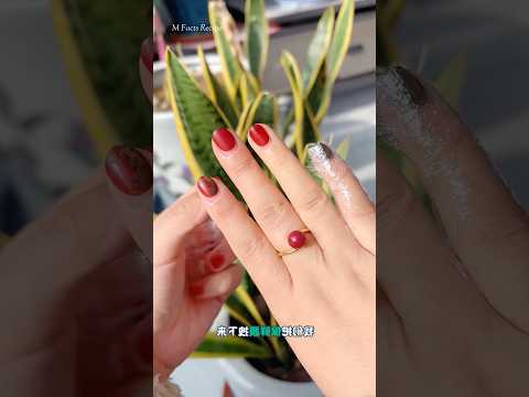 The girl has applied henna to her nails #shorts #youtubeshorts #facts