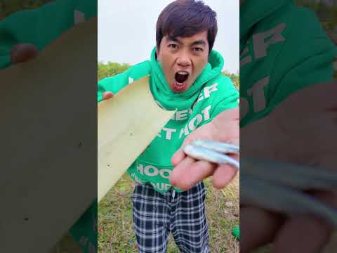 Survival skills in forest: SMART idea and USEFUL cooking in forest #outdoor #bushcraft #camping