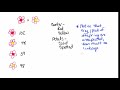 Genetic Cross and Recombination Frequency