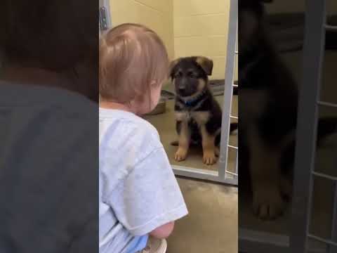 Пойдем со мной!