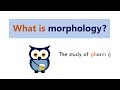 Understanding Morphemes and Morphology