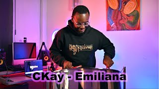 CKay - Emiliana (Steeldrum Remix)