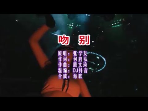 張學友 《吻別（DJ抖音版）》KTV 導唱字幕 （備有伴奏視頻）