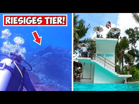 Wir tauchen mit RIESIGEN MANTAS!! Wilde Sprünge & FAILS im COOLSTEN Schwimmbad?! @divingDE-wj4ud