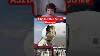 A321XLR Bird Strike Damage