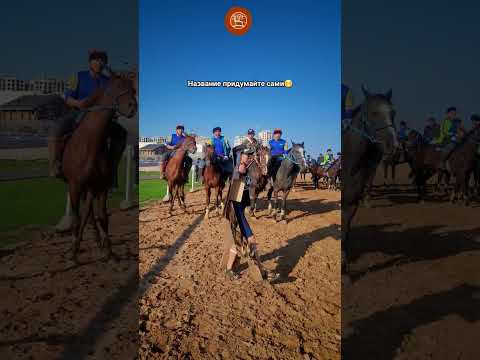 What’s going on? #fyp #arsenal #realmadrid #horses #championsleague #barcelona #intermilan #mpabbe