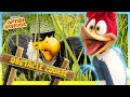 Camp Activities and Character Reactions