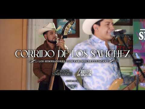 Los Sembradores - Corrido de los Sánchez ft. Los Varones de Culiacán