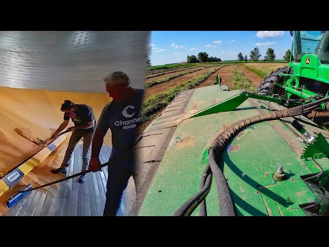 Cleaning out Grain and Cutting Grass