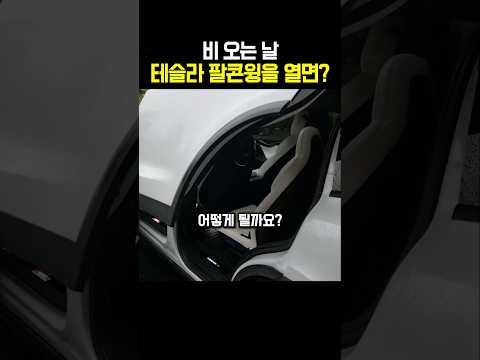 비 오는 날 테슬라 팔콘윙을 열면?