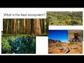 Biodiversity and Ecosystem Dynamics