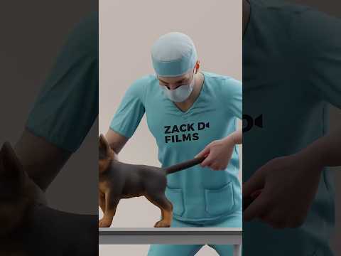 Có nên cắt đuôi chó con không 😨#shortvideo
