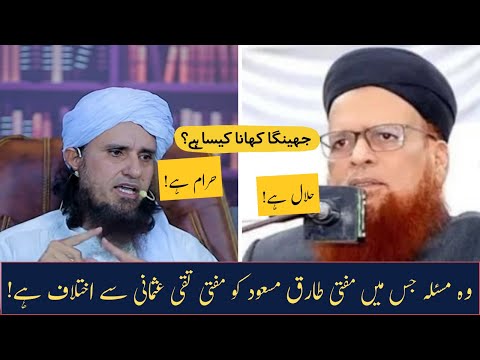 Jhinga Khane Ka Masla Mufti Tariq Masood VS Mufti Taqi Usmani |  Motivational Talk By MTM