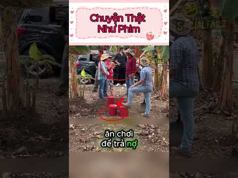 Chuyện Thật Như Phim