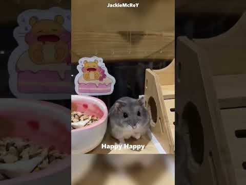 Heartwarming RescueGirl Saves Hamster ๐