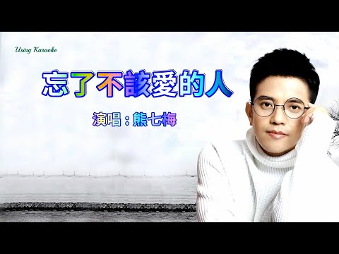 忘了不該愛的人-熊七梅-主唱 KARAOKE