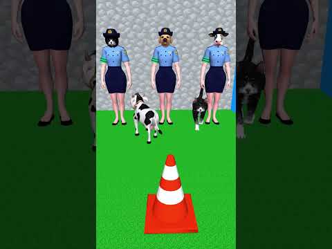 Cat, Cow cute Vs Dog cute? Which animal can dodge the cones and choose the right owner?