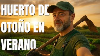 Preparando el huerto de otoño… ¡en pleno agosto! Rotaciones, vermicompost y cultivos raros