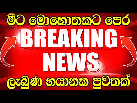 News Alert Special Here is special news  | TODAY NEWS |  UPDATE LIVE  |  hiru news today 11 55 b