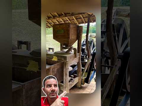 Milho Virando Fubá no Moinho de Pedra 😲🌽🔥
