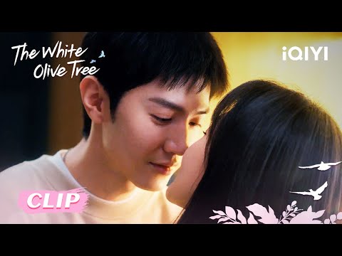 😍CLIP:  Li Zan and Song Ran are cohabiting 💕🏡 EP19&20 | The White Olive Tree | iQIYI Romance