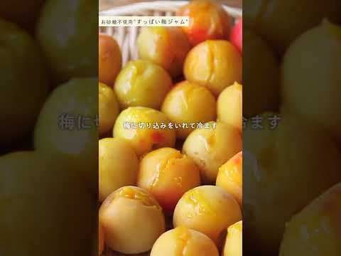 『すっぱい梅ジャム』 #shorts #料理 #cooking #手仕事 #夏 #梅 #梅仕事