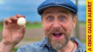 I found a perfectly round egg! But would it hatch?
