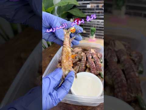 لانش بوكس المدرسه 😍 #طبخات #الشيف_دودو #شيف #ترند #food #طبخي #مدرسه #وصفات #شيفات