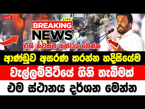 NEWS  here is special news just been received  | hiru sinhala News  | News Here is special annou