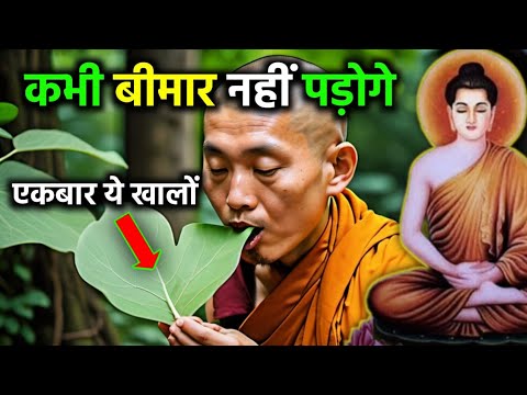 1 पत्ता आपकी 99% बीमारियाँ ठीक करेगा | Buddhist Story to Betel Leaves Benefit