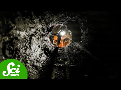 A Video About Digging A Hole | Compilation