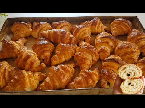 كرواصة منزلية سهلة واقتصادية وناجحة %مورقة وهشيشة من أروع مايكون
