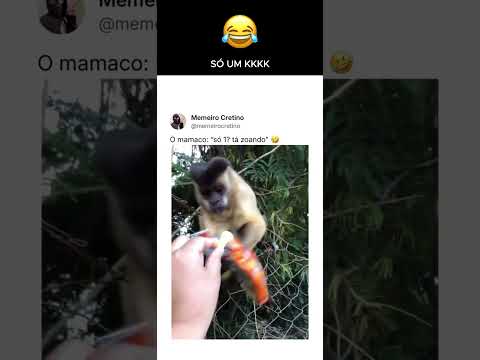 o macaco com fome 😂😂😂
