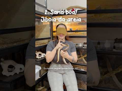 Desafio: Que bicho é esse? 👀