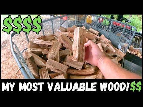 MOST Valuable Wood $$$$