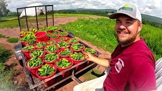 The BEST start on our farm 