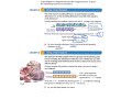 Understanding Ratios and Tape Diagrams