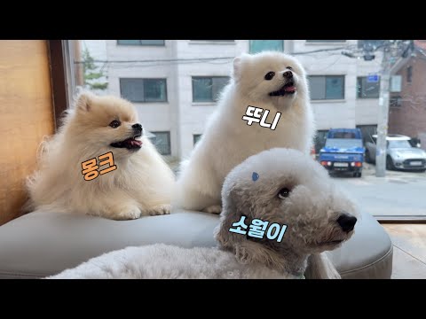미용도하고 친구들이랑 놀고왔어요🙃