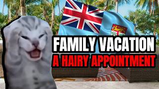 CAT MEMES: A HAIRY APPOINTMENT | FAMILY WEDDING VACATION