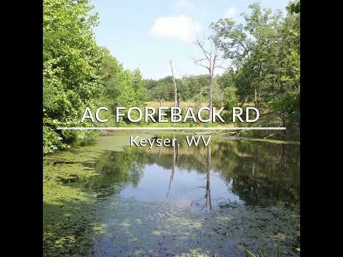 246 Acres Unrestricted River Property - AC Foreback Rd, Keyser, WV 
