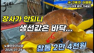 장사들이 안되니 생선값은 곤두박질~  🎉구독자 이벤트 대게드려요 ! 202507024