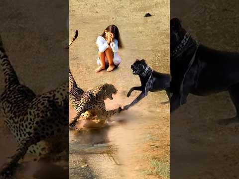😱 Dog Turns into Beast, Saves Girls from Jaguar