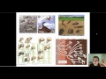 Fossils and Evolution Concepts