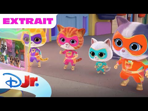 SuperChatons - Extrait : Il faut sauver les canards !